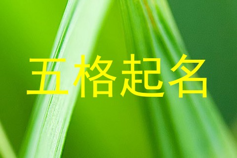 五格起名