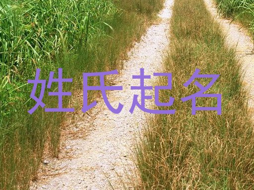 姓氏起名