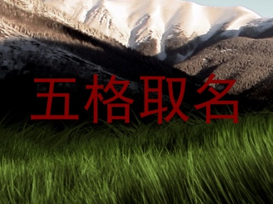 五格取名