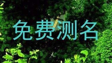 免费测名
