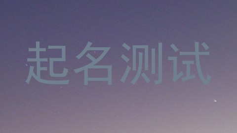 起名测试