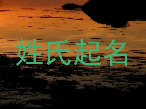 姓氏起名