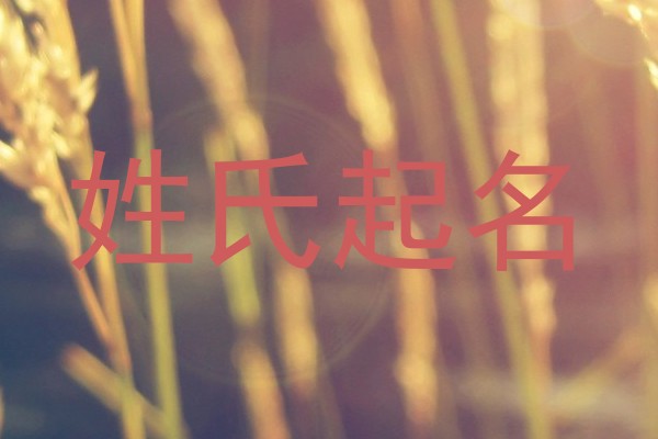 姓氏起名