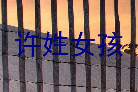 许姓女孩