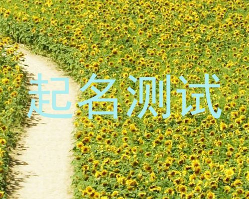 起名测试