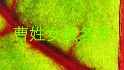 曹姓女孩名字