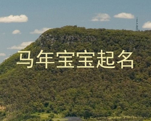 马年宝宝起名