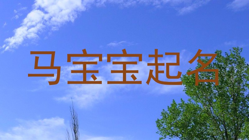 马宝宝起名