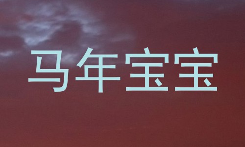 马年宝宝
