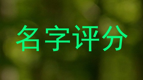名字评分