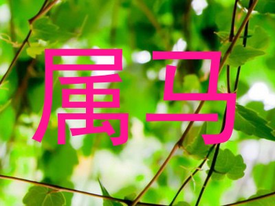 属马