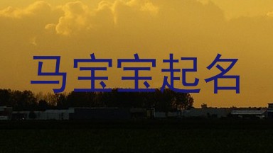 马宝宝起名