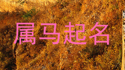 属马起名
