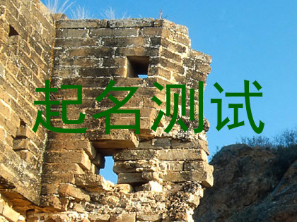 起名测试