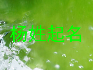 杨姓起名