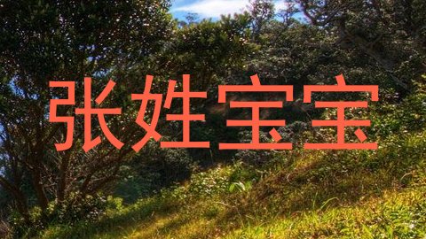 张姓宝宝