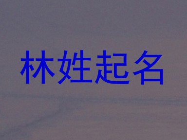 林姓起名