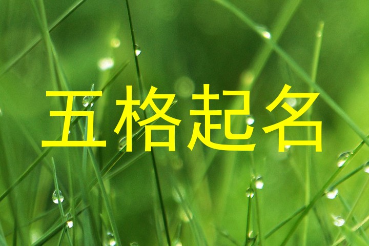 五格起名