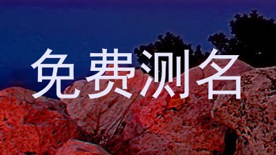 免费测名