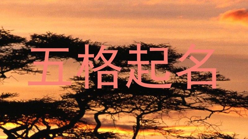 五格起名