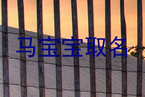 马宝宝取名
