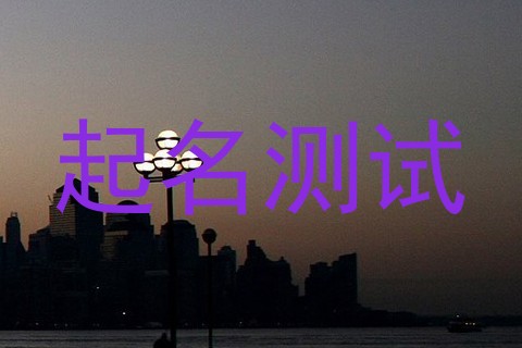 起名测试