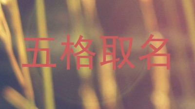 五格取名