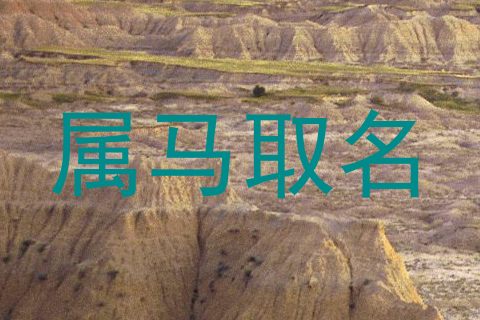 属马取名