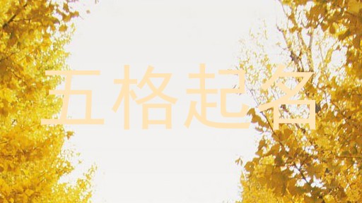 五格取名法