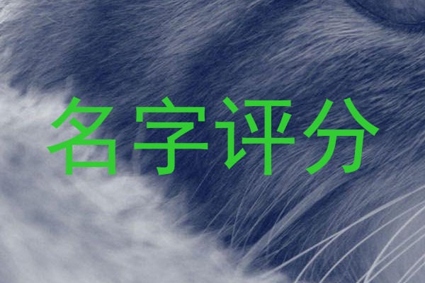 名字评分