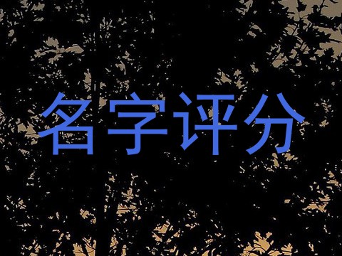 名字评分