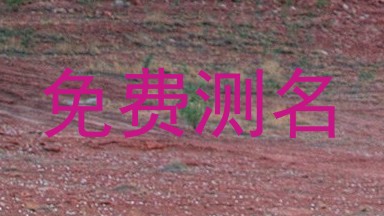 免费测名
