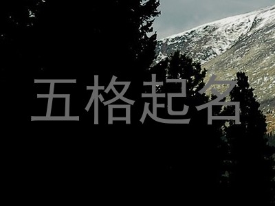 五格起名