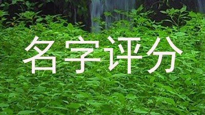 名字评分
