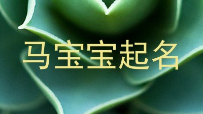 马宝宝起名
