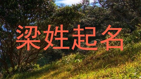 梁姓起名