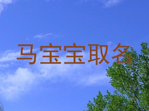 马宝宝取名