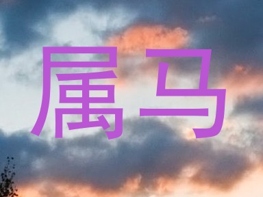 属马