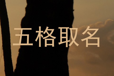 五格取名