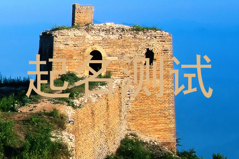 起名测试