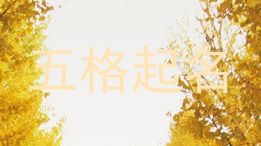 五格起名