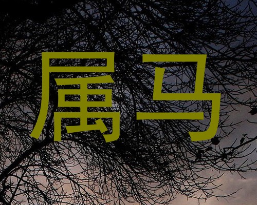 属马