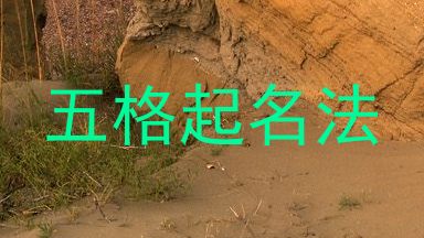 五格起名法