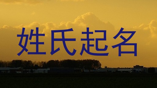 姓氏起名