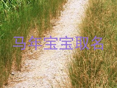 马年宝宝取名