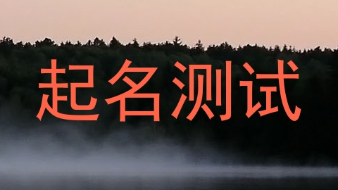 起名测试