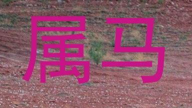 属马