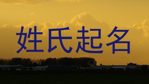 姓氏起名