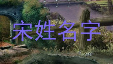 宋姓名字