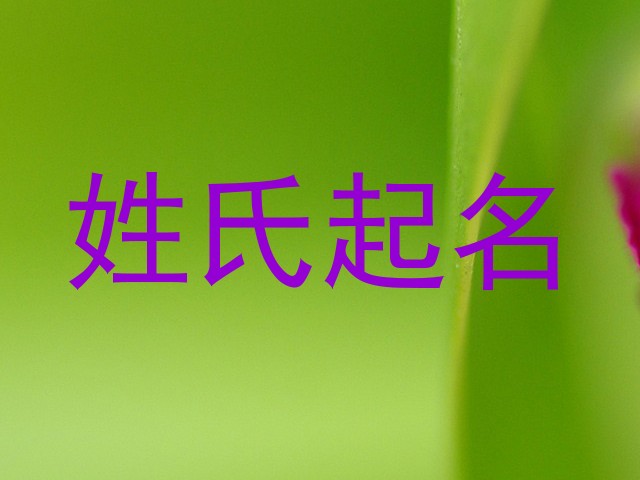 姓氏起名